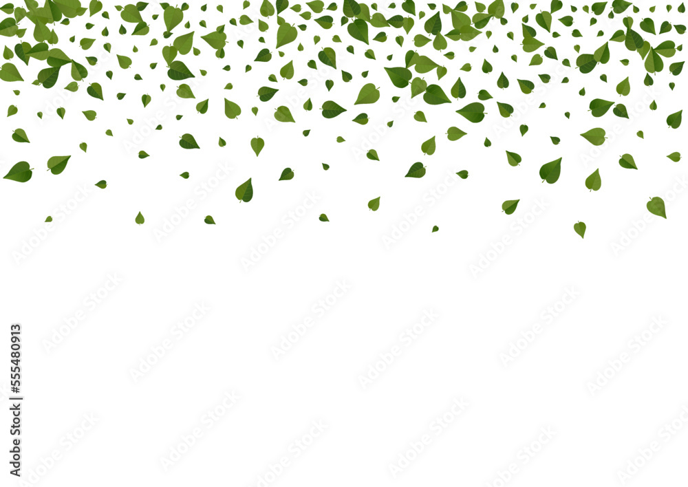 Lime Foliage Motion Vector White Background Lime Foliage Motion Vector White Background