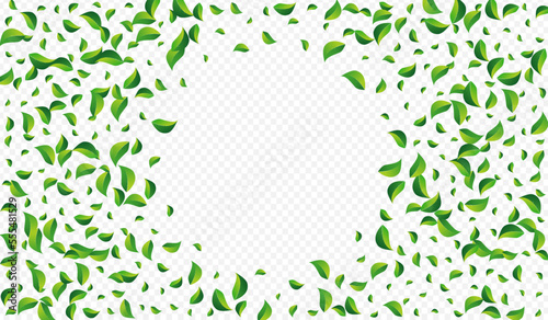 Olive Greens Wind Vector Transparent Background.