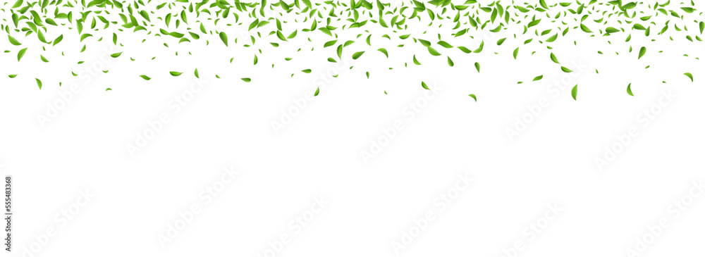 Mint Leaf Abstract Vector Panoramic White