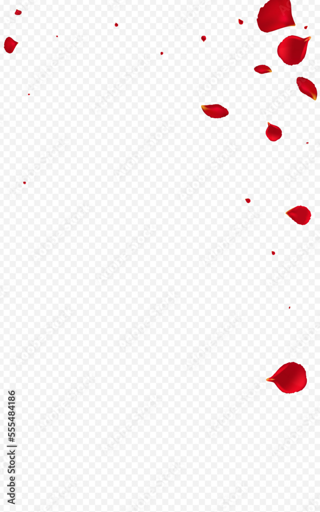 Red Cherry Japanese Vector Transparent