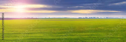 Spring field with green grass and picturesque cloudy sky during sunset. Spring landscape with green grass in the field