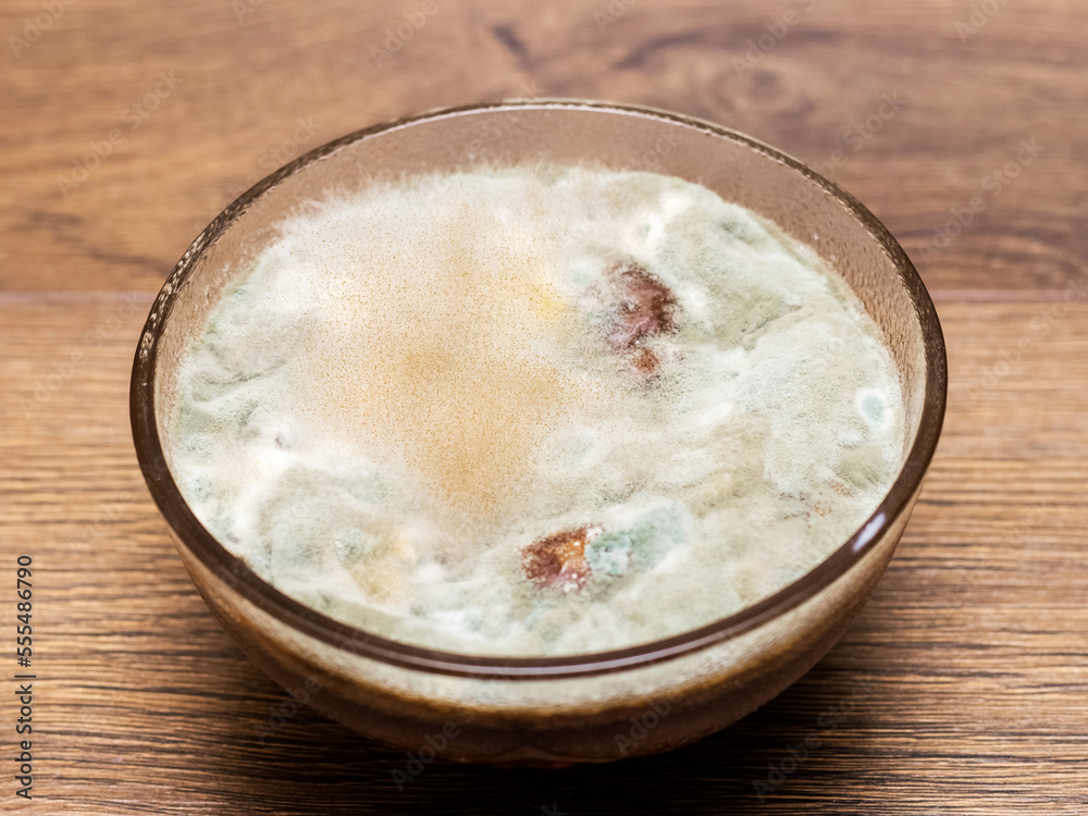Mold on jam in a glass plate. Moldy food in the plate Mold on jam in a glass plate. Moldy food in the plate