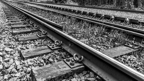 Close-up detail of train tracks along a forest and Moose Lake, Icefield Parkway, Regional District of Fraser-Fort George; British Columbia, Canada
