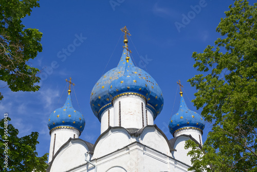 Cathedral of the Nativity (1222), Kremlin; Suzdal, Vladimir Oblast, Russia photo