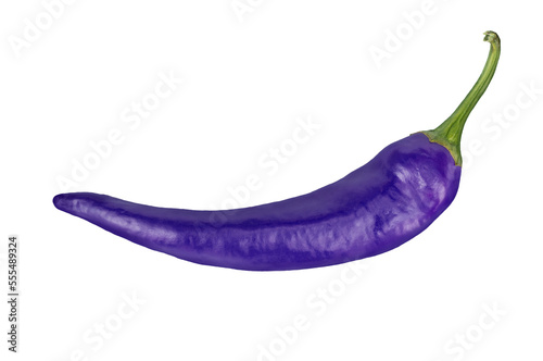 Purple chili pepper on transparent background closeup.