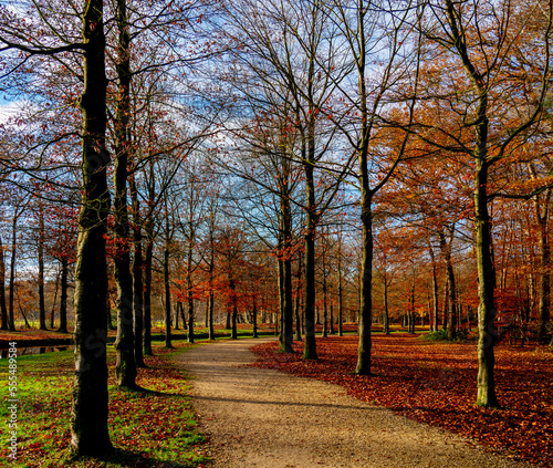 Autumn in a park in the Netherlands
 photo