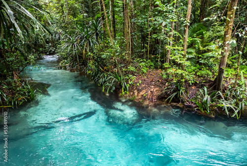 Kali Biru (Blue River); West Papua, Indonesia photo