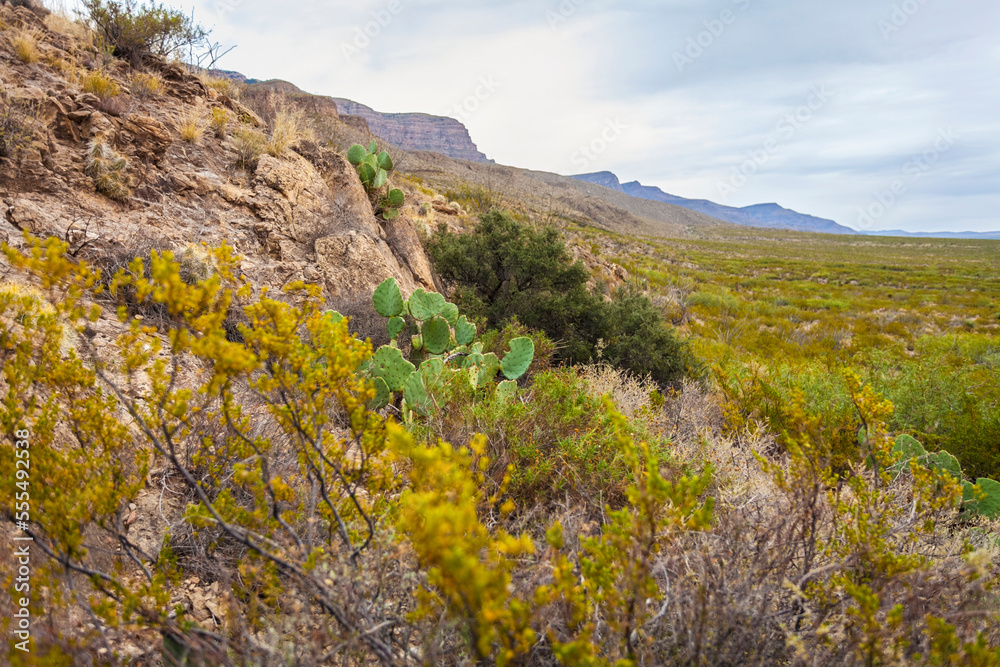 Dog Canyon National Recreational Trail, Sacramento Mountains, Chihuahuan Desert in the Tularosa Basin, Oliver Lee Memorial State Park; Alamogordo, New Mexico, United States of America