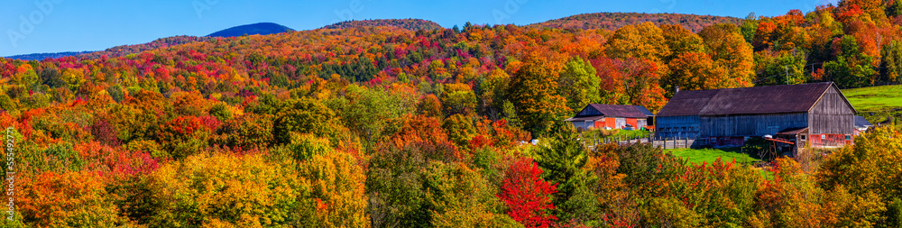 Vibrant autumn coloured foliage in the forests on the mountains and a barn; Quebec, Canada Vibrant autumn coloured foliage in the forests on the mountains and a barn; Quebec, Canada