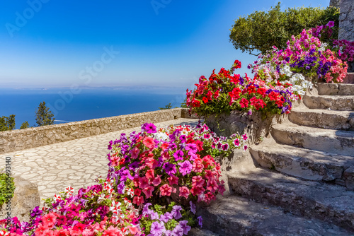 Blossoming flowers in containers lining steps on the Island of Capri with a view of the Tyrrhenian Sea, Mediterranean; Capri, italy photo