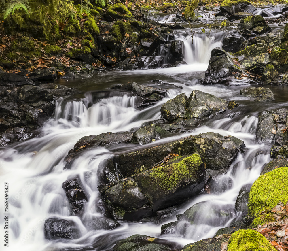 Fishhawk Creek flows into its bed in Clatsop County; Jewell, Oregon, United States of America Fishhawk Creek flows into its bed in Clatsop County; Jewell, Oregon, United States of America