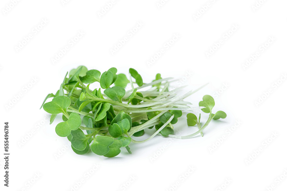 Microgreens on a white isolated background Microgreens on a white isolated background