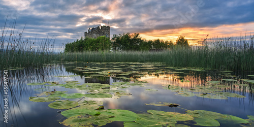 Small castle on an island on Lough Derg at sunrise in summer with lily pads floating on the lake in the foreground; Scariff, County Clare, Ireland