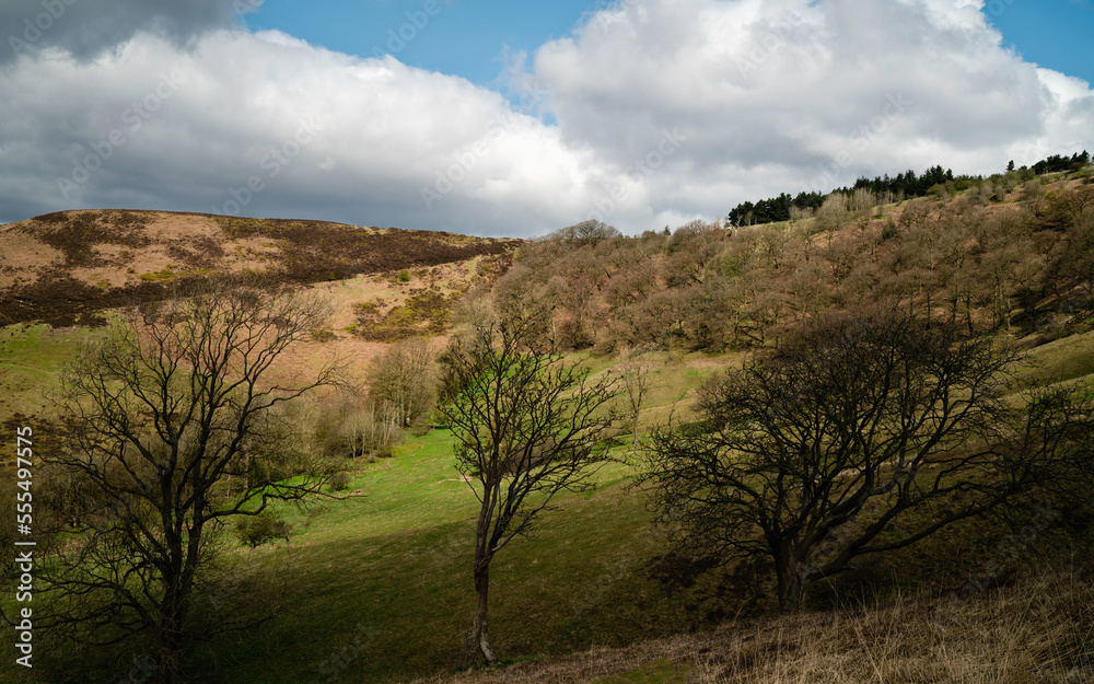 North York Moors with natural depression, trees, under blue sky with clouds. Goathland, UK. North York Moors with natural depression, trees, under blue sky with clouds. Goathland, UK.