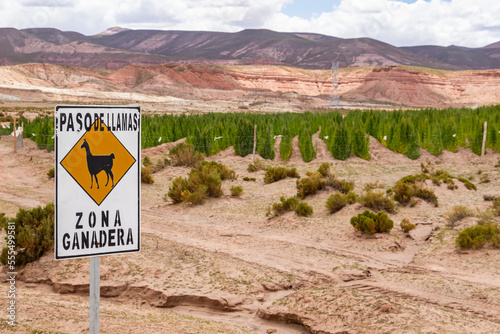 Llama crossing sign on Carretera 701; Nor Lipez Province, Potosi Department, Bolivia photo