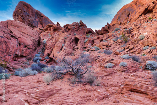 Landscape with heavily eroded red sandstone rocks and sparse desert vegetation in Valley of Fire State Park, Nevada, USA. 