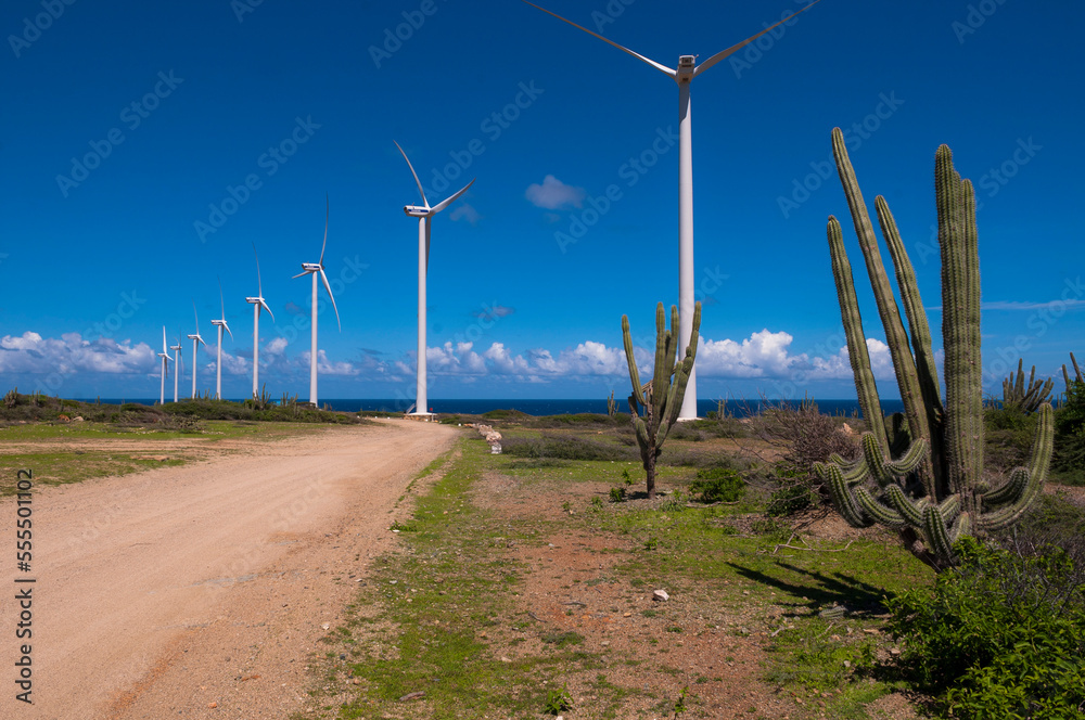 Wind Turbines and Cactus by Dirt Road, Aruba, Lesser Antilles, Caribbean Wind Turbines and Cactus by Dirt Road, Aruba, Lesser Antilles, Caribbean