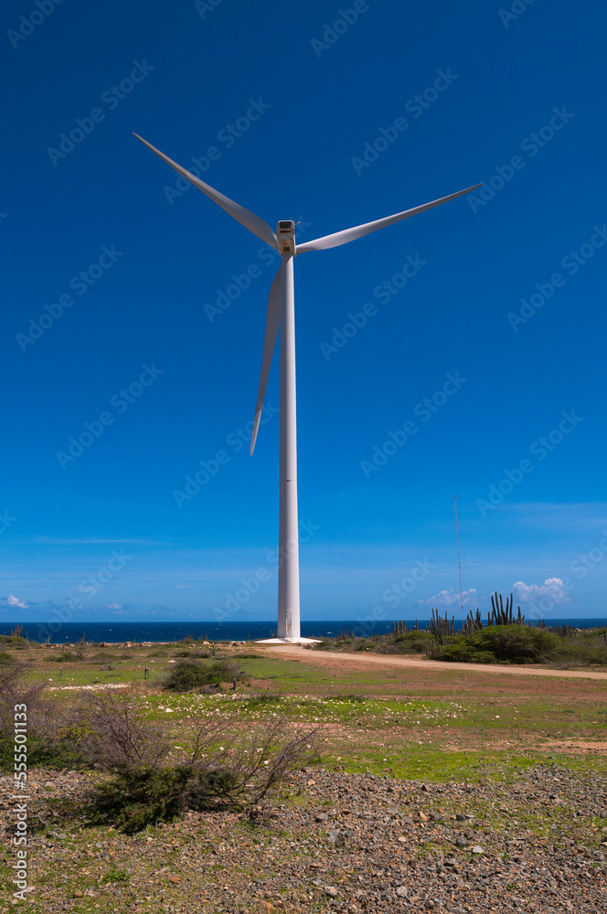 Wind Turbine near Coast, Aruba, Lesser Antilles, Caribbean