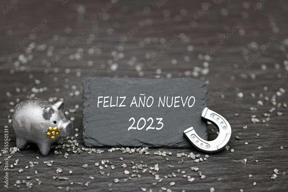Fototapeta premium Cerdo de la suerte y herradura con felicitaciones para el año nuevo. Feliz Año Nuevo 2023.