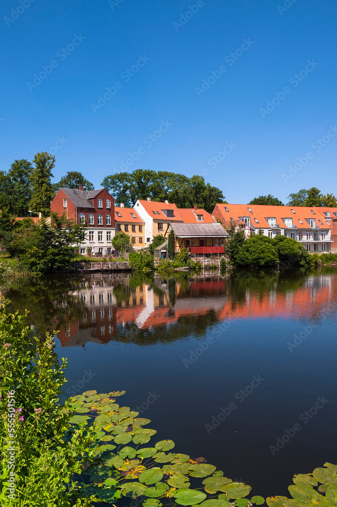 Lily Pads in Water, Nyborg, Fyn Island, Denmark Lily Pads in Water, Nyborg, Fyn Island, Denmark