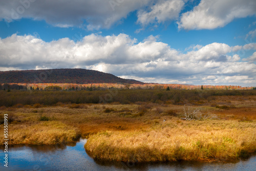 Canaan Valley Fall