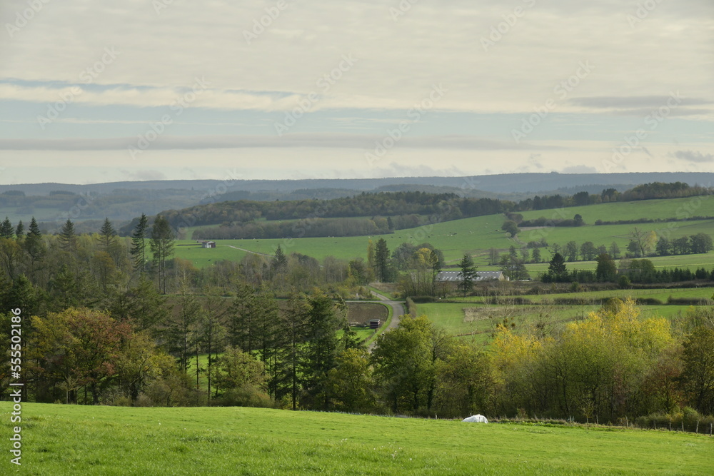 Paysage rural sous un ciel nuageux et sombre aux environs de Rochefort dans l'arrondissement de Dinant en province de Namur 