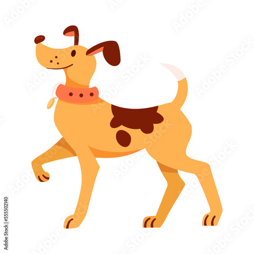 Cute Spotted Dog with Collar Standing Vector Illustration