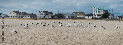 Panoramic View of Beach Houses on Jersey Coast, Point Pleasant, New Jersey, USA