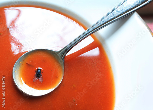 Close-up of fly on soupspoon with soup bowl, studio shot