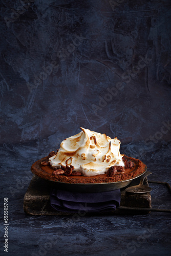 Pumpkin Pie with gingersnap crust in pie plate, studio shot photo