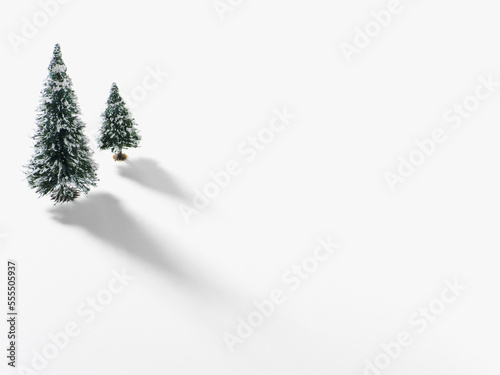 Snow Covered Fir Trees photo