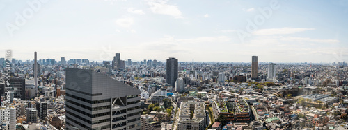 Southern view of Tokyo from Cerulean Tower in Shibuya with Infoss Tower in forground, Tokyo, Japan photo