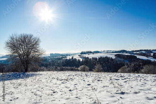 Daytime winter landscape: Beautiful view at hills and trees at bavarian forest, germany photo