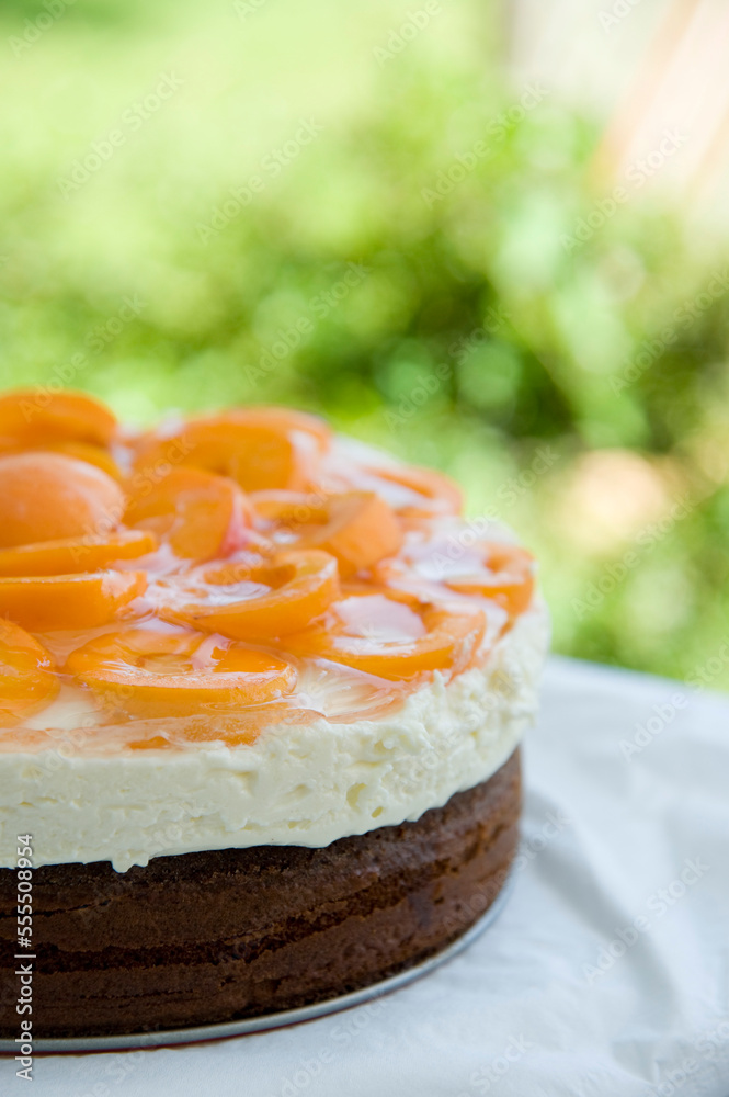 Homemade Cake, Austria