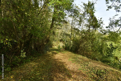 Chemin traversant les bois sur les collines d Aywaille au sud de Li  ge 