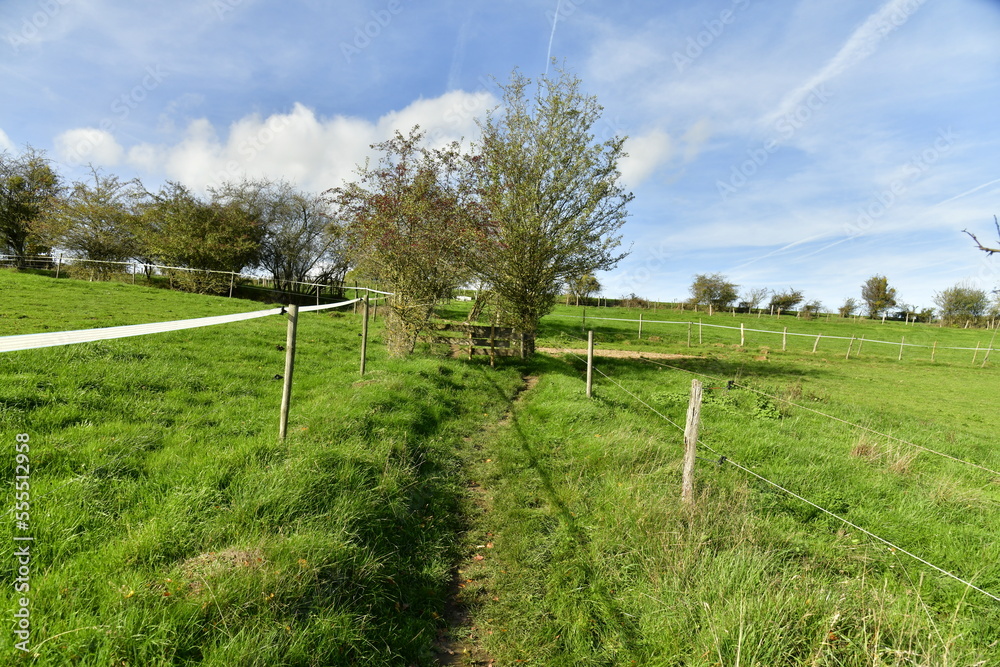 Paysage rural entre prairies et pâturages sur les hauteurs aux environs de Remouchamps en province de Liège 