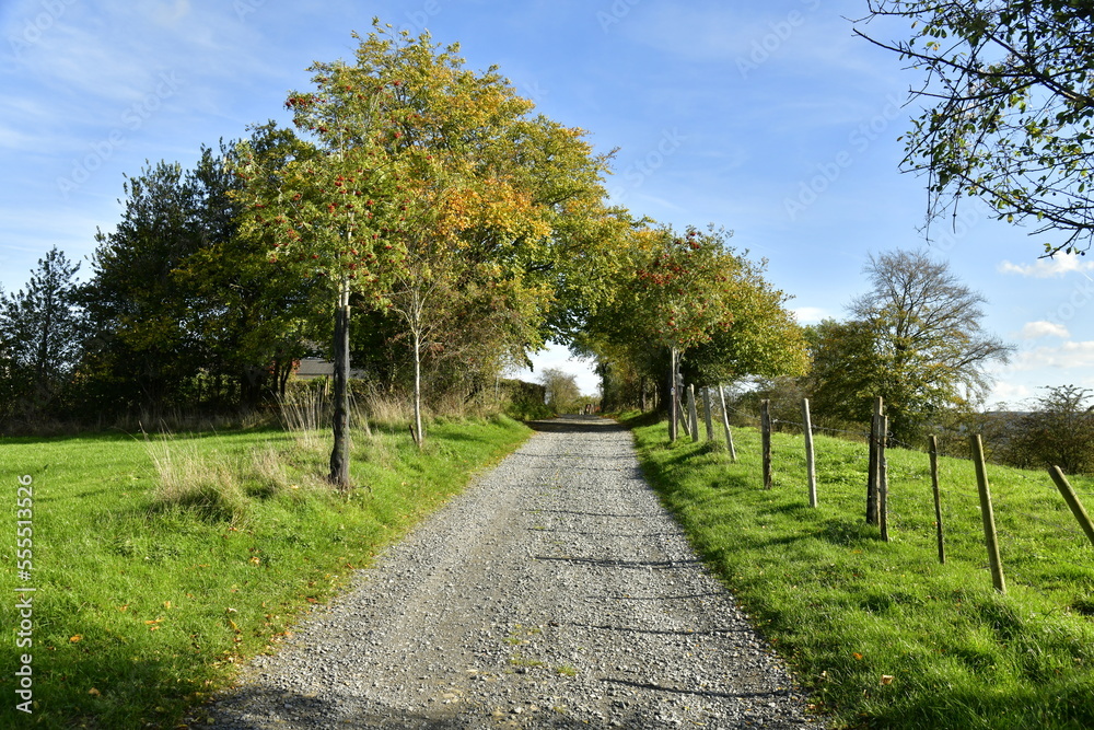 Chemin de campagne entre les prairies et pâtures sur les hauteurs aux environs d'Aywaille en province de Liège Chemin de campagne entre les prairies et pâtures sur les hauteurs aux environs d'Aywaille en province de Liège
