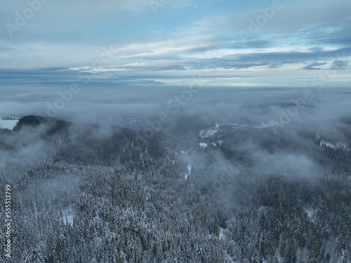 Mountains and forest covered with snow and clouds