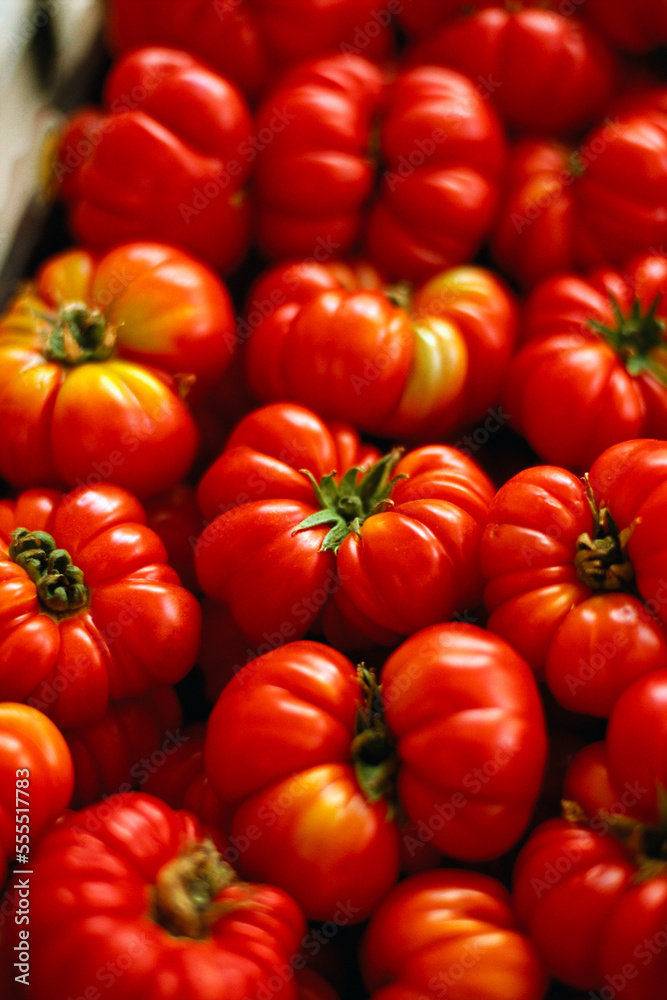Tomatoes Tomatoes