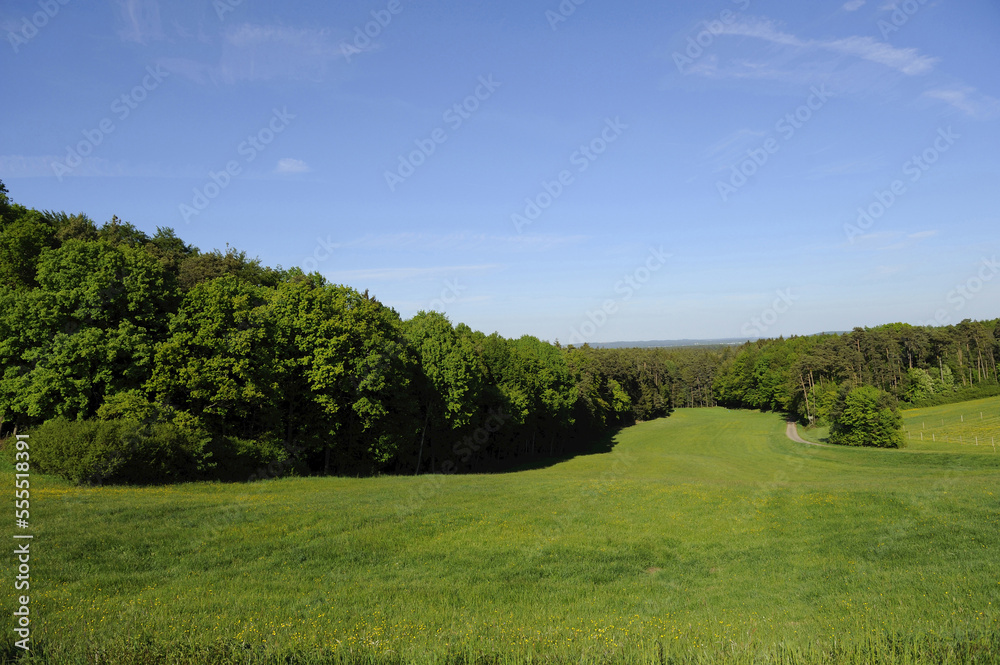 Landscape of bushes, forest and grassland in Upper Palatinate, Bavaria, Germany Landscape of bushes, forest and grassland in Upper Palatinate, Bavaria, Germany
