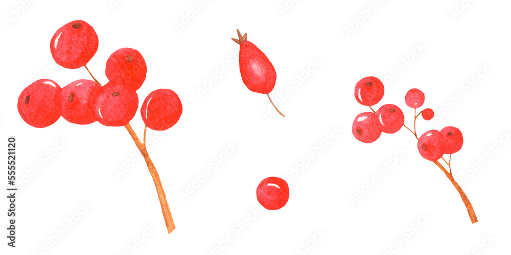 watercolor set of red rowan handmade. For New Year's decor, nature, postcard design, posters and illustrations.