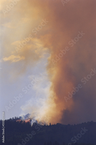 Forest Fire photo