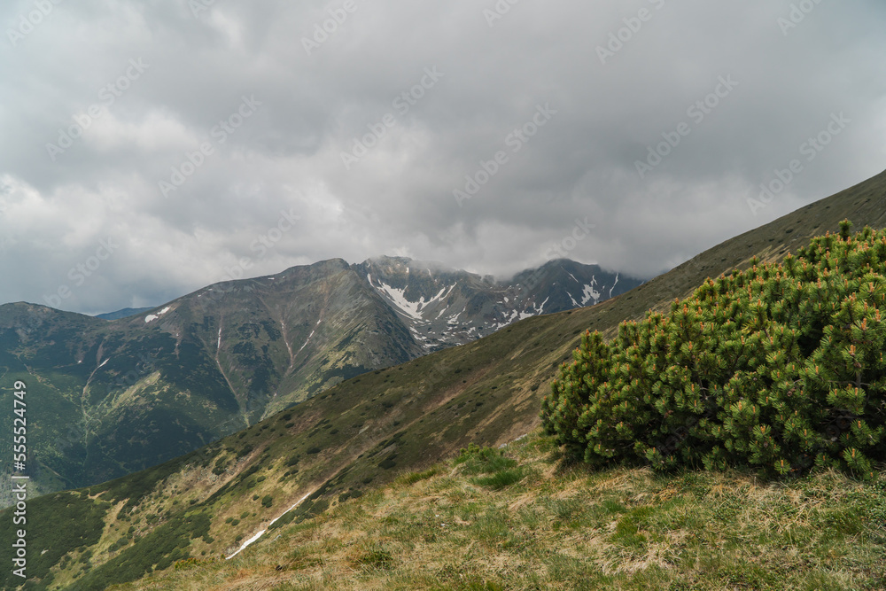 Fototapeta premium Trekking in mountains