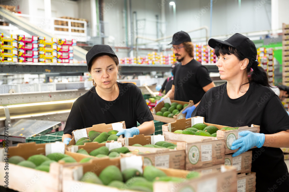 Naklejka premium Women workers in uniform holding avocado box in hands at warehouse.