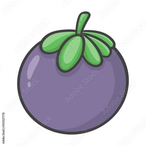 mangosteen illustration