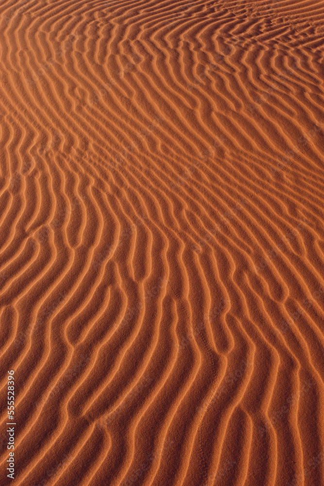 Sand Ripples Namibia Sand Ripples Namibia