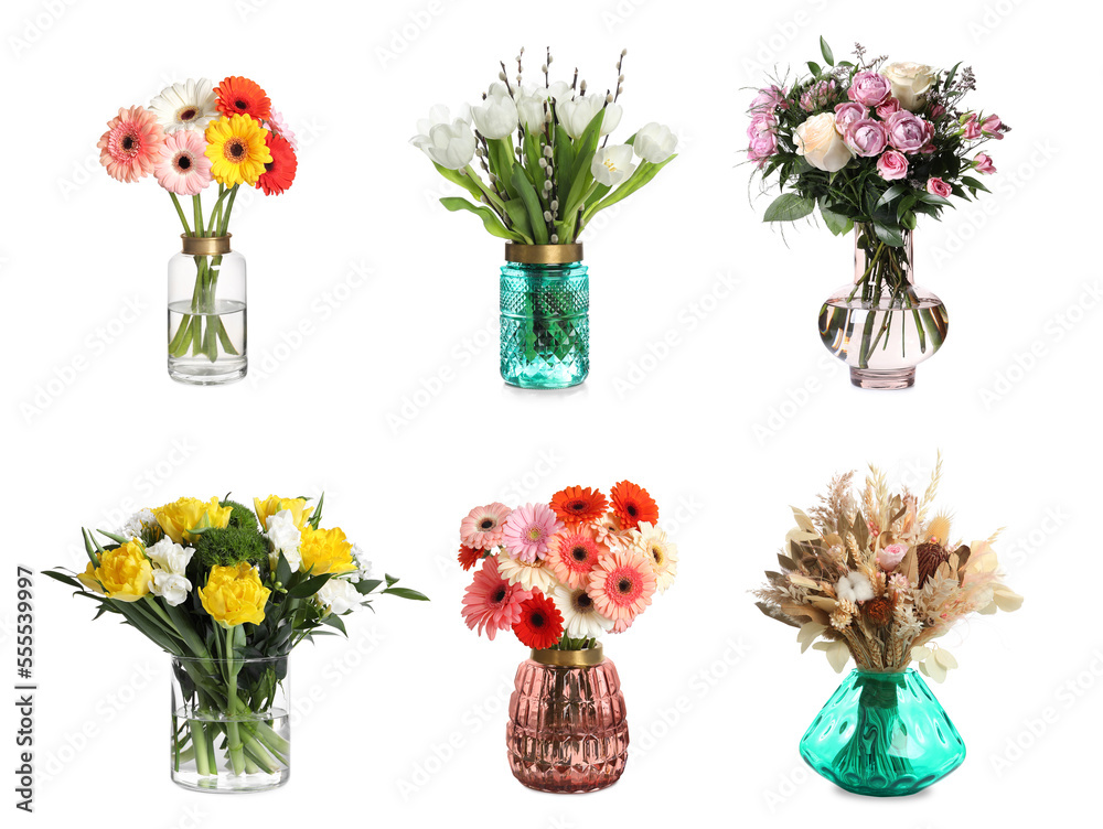 Collage with various beautiful flowers in glass vases on white background