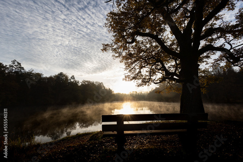 empty park bench beside an old oak tree  facing lake B  rensee  Stuttgart. Sunrise sky  sun rays  fog on lake  no person