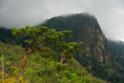 Disfrutando de los Hermosos paisajes naturales de las montañas en la Sierra Madre del Sur, México