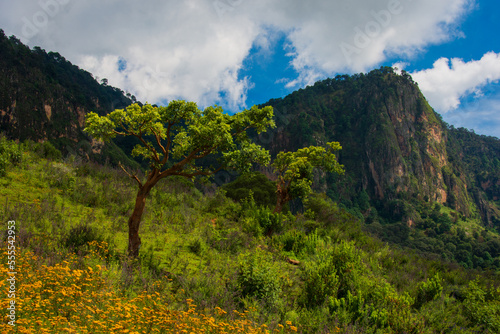 Disfrutando de los Hermosos paisajes naturales de las montañas en la Sierra Madre del Sur, México